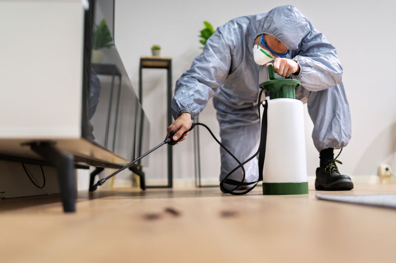 Commercial Fumigation in Fort Collins, CO