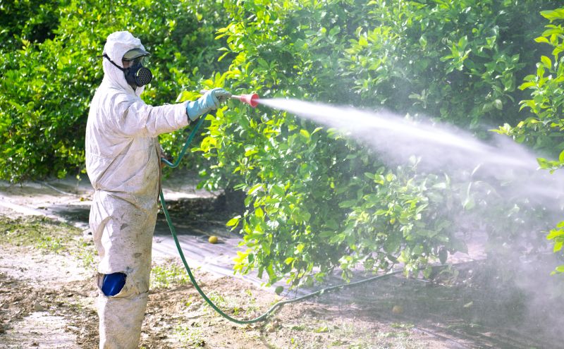 Fumigation Service in Fort Myers, FL