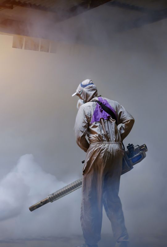 Roach Fumigation in Wilmington, DE