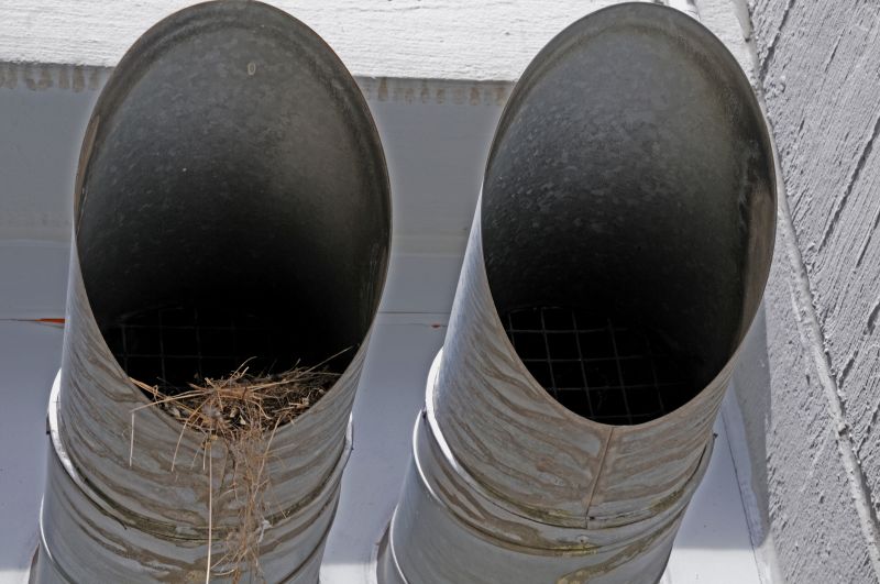 Bird Nest Removal