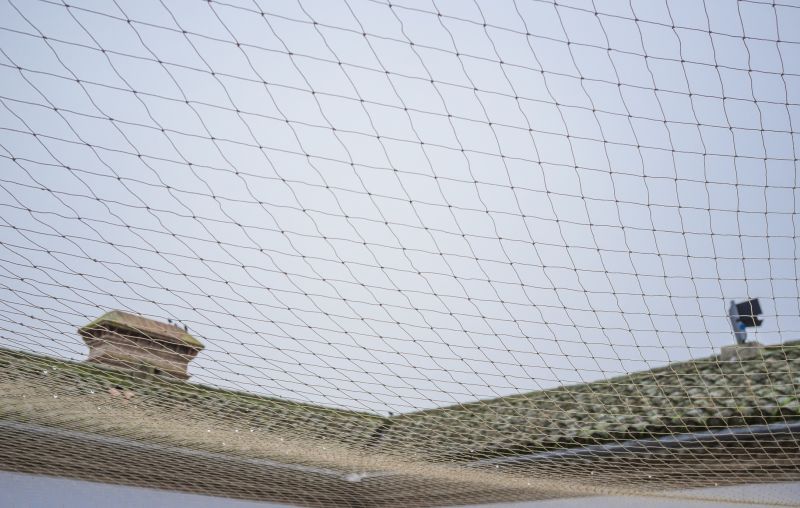 Bird Nest Removal Cost — Cost of Bird Nest Removal