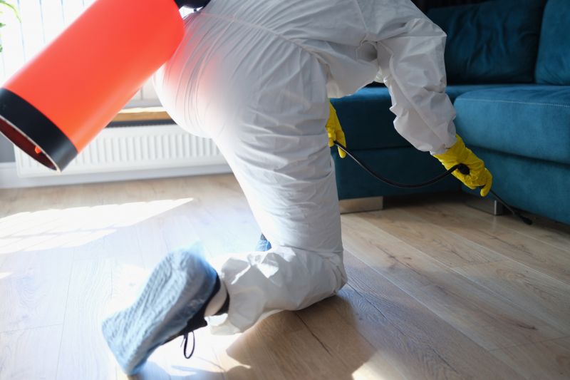 Rat Fumigation Service in San Jose, CA