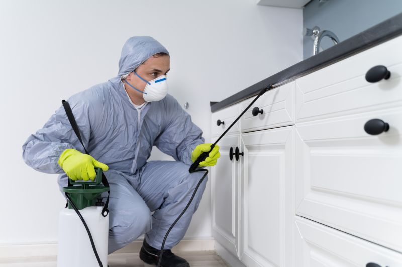 Silverfish Extermination in Arlington, TX